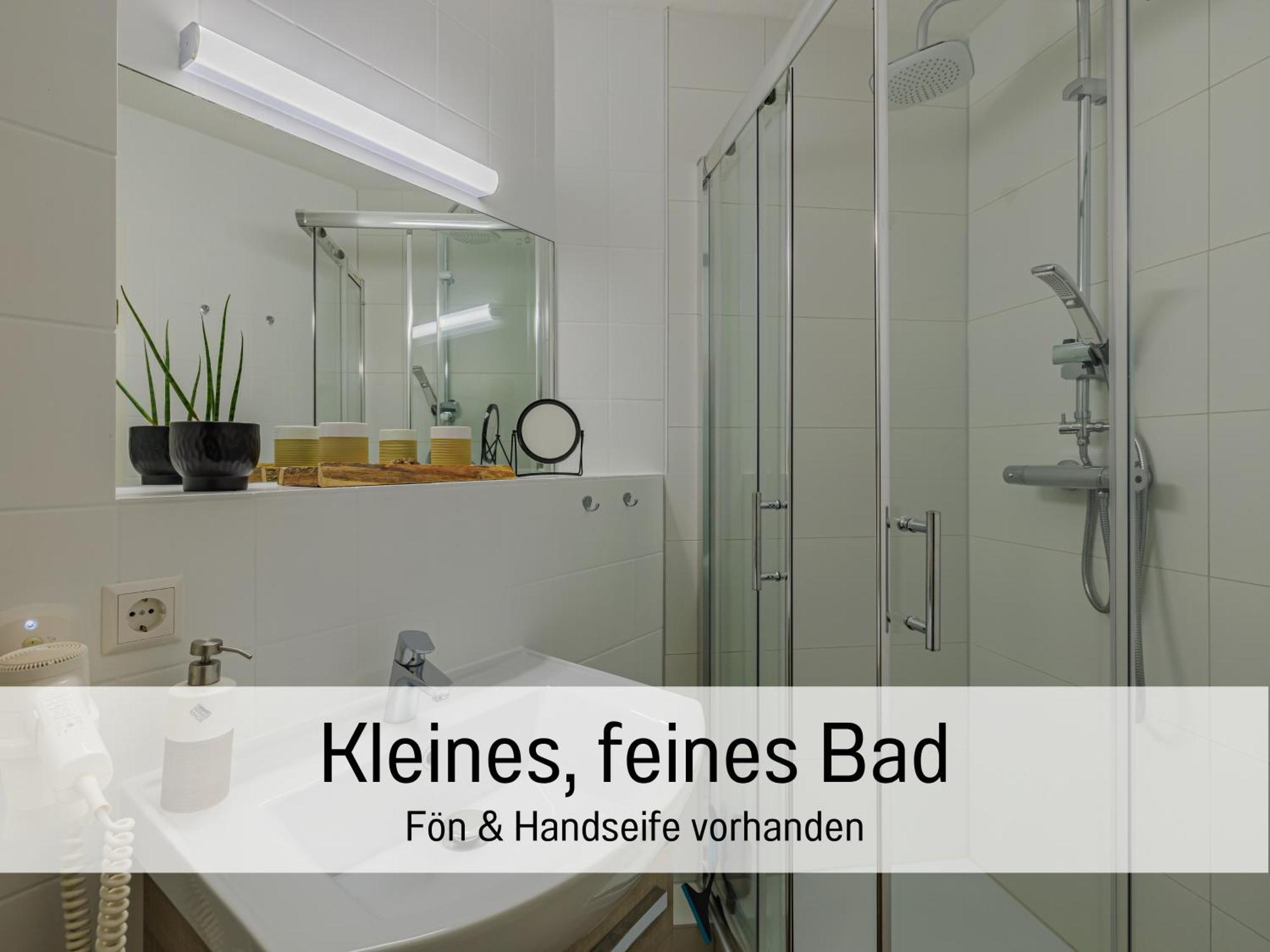 Baechle Im Wanderparadies Balkon Mit Blick Auf Den Bach Sauna Im Haus Tiefgarage E-Ladestation Todtnauberg Exterior photo