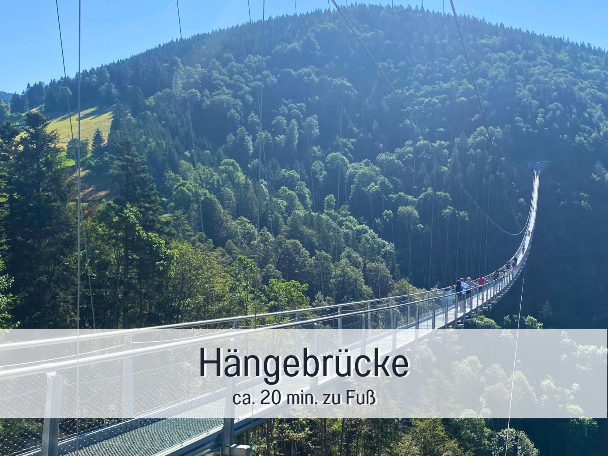 Baechle Im Wanderparadies Balkon Mit Blick Auf Den Bach Sauna Im Haus Tiefgarage E-Ladestation Todtnauberg Exterior photo